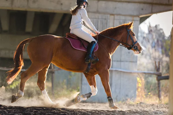 Junges Mädchen reitet auf einem Pferd — Stockfoto