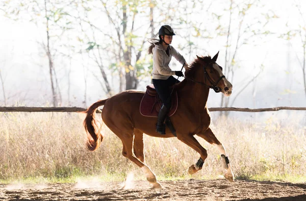 Chica joven montando un caballo — Foto de Stock