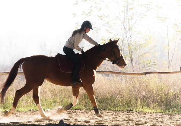 Jeune fille chevauchant un cheval — Photo