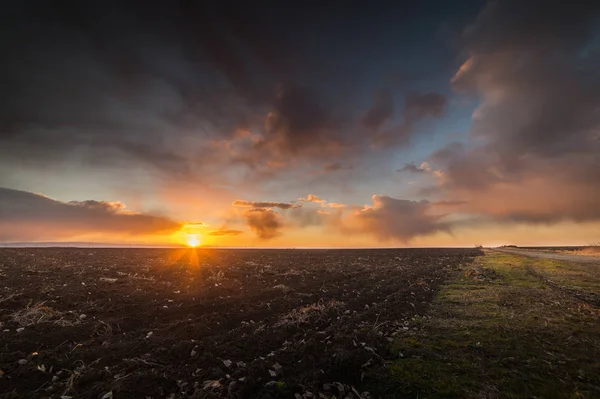 Landschaft fantastischer Sonnenuntergang auf dem Weizenfeld — Stockfoto