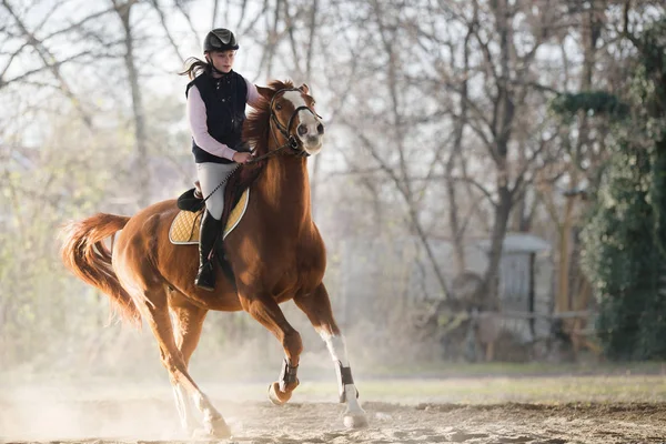 Chica joven montando un caballo — Foto de Stock