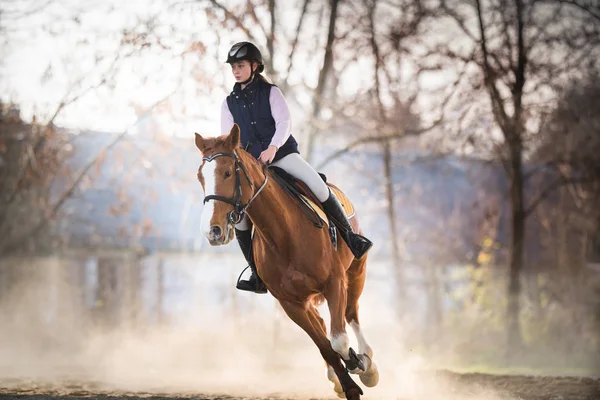 genç kız bir binicilik