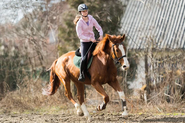 Νεαρό κορίτσι ιππασίας ένα άλογο — Φωτογραφία Αρχείου
