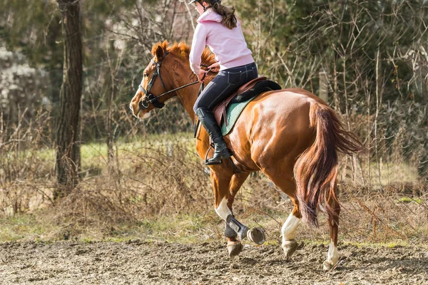 Menina jovem montando um cavalo — Fotografia de Stock