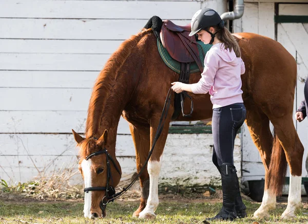 Chica joven preparando caballo para montar — Foto de Stock