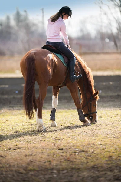 Chica joven montando un caballo — Foto de Stock