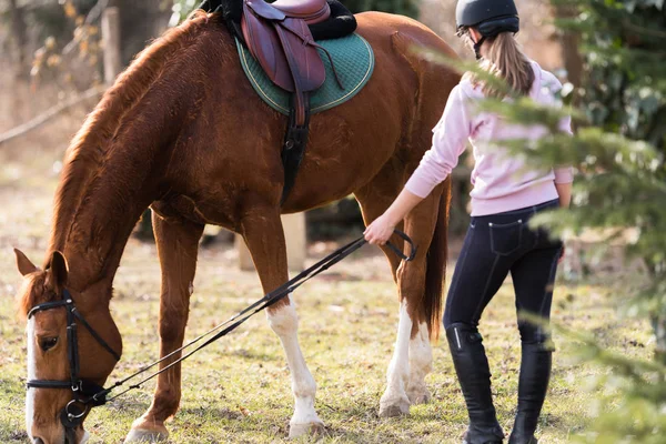 Chica joven preparando caballo para montar —  Fotos de Stock