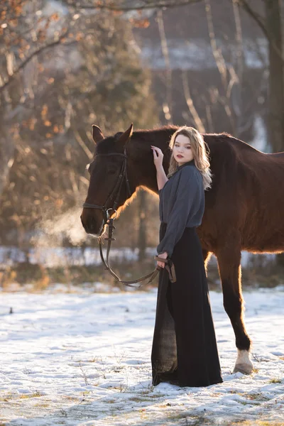 若い美しいエレガントな女性が馬のポーズ — ストック写真