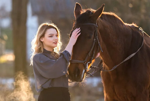 Joven hermosa elegancia mujer posando con caballo —  Fotos de Stock