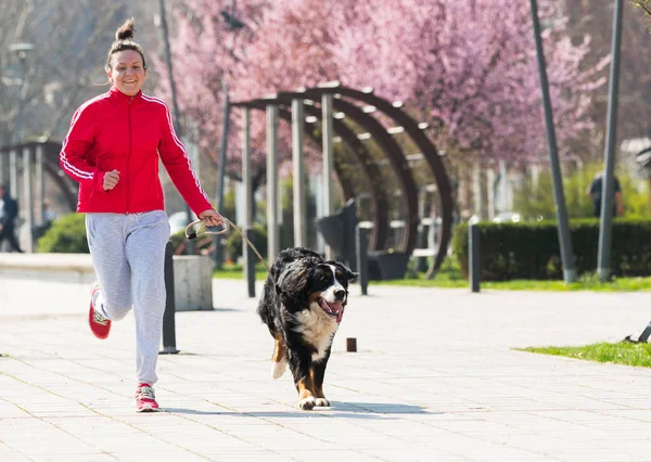 Joven chica bonita corriendo al aire libre con su perro de montaña bernés — Foto de Stock