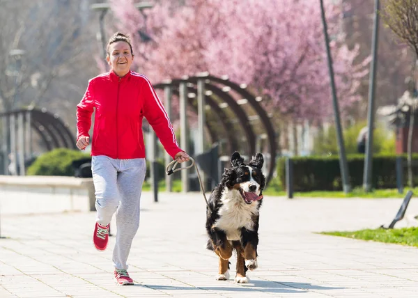 Ung vacker flicka kör utomhus med hennes Berner Sennen — Stockfoto