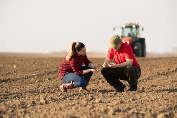 Giovani agricoltori che esaminano grano piantato mentre il trattore sta arando fi — Foto Stock