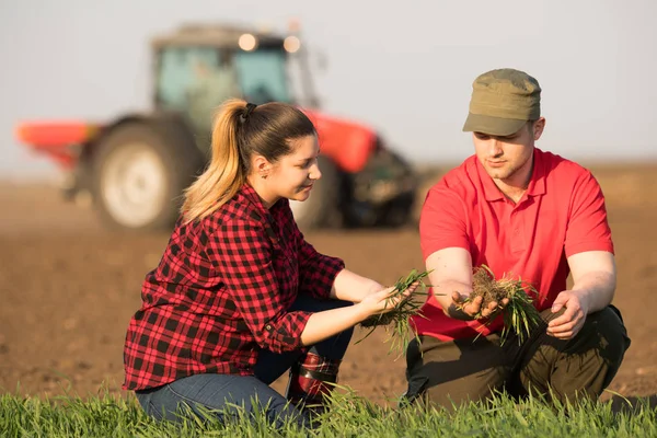 Jonge landbouwers Publieksdiplomatie geplant tarwe terwijl trekker is fi ploegen — Stockfoto