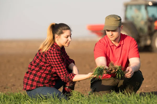 Jovens agricultores examinando trigo plantado enquanto trator é arar fi — Fotografia de Stock