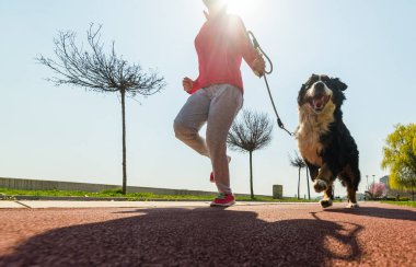 Bernese dağ köpeği ile açık kaçan genç güzel kız