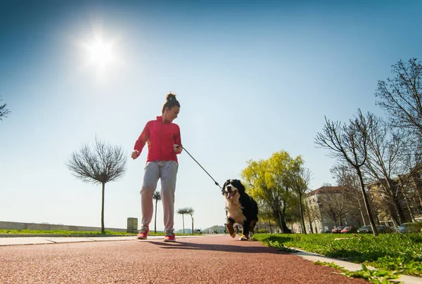 Mooi meisje lopen buiten met haar Berner Sennenhond — Stockfoto