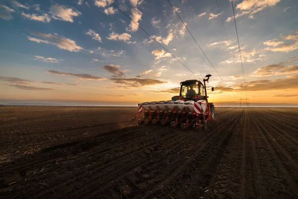 Agricultor com sementeira de tractores - sementeira no campo agrícola — Fotografia de Stock