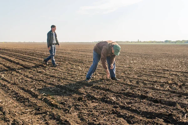 Agricultor analisar sementes de soja após a semeadura de culturas em agricultura fiel — Fotografia de Stock