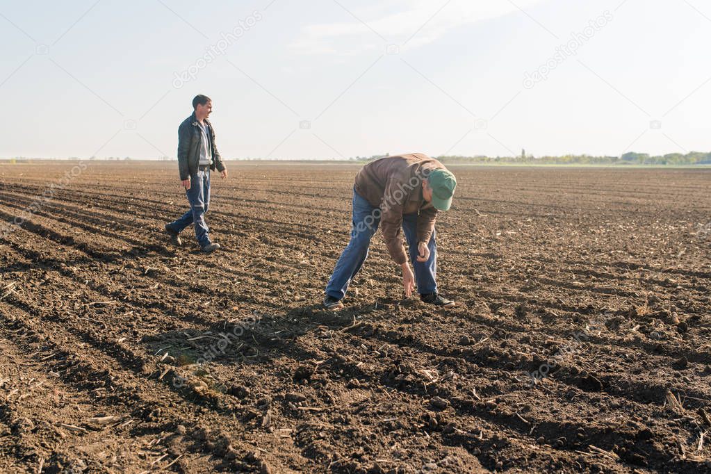 Farmer analyze soya seed after sowing crops at agricultural fiel