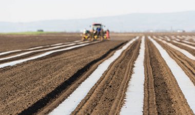 Alan dikim - naylon folyo koyarak salatalık için hazırlık 