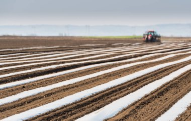 Alan dikim - naylon folyo koyarak salatalık için hazırlık 