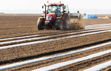 Alan dikim - naylon folyo koyarak salatalık için hazırlık 