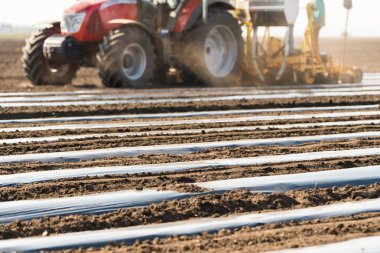 Alan dikim - naylon folyo koyarak salatalık için hazırlık 