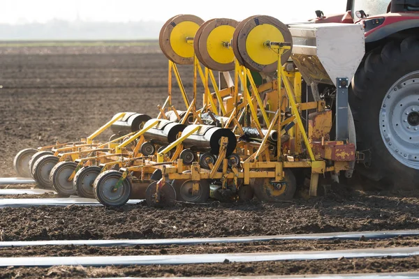 Voorbereiding voor komkommer planten op veld - zetten van nylon folie — Stockfoto