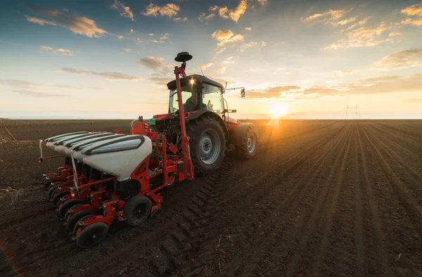 Jordbrukaren med traktor sådd - så grödor på jordbruksområdet — Stockfoto