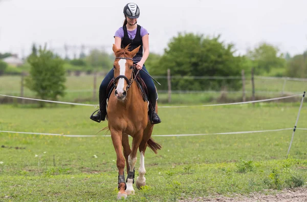 Gadis cantik muda menunggang kuda dengan daun backlit di belakang di s — Stok Foto