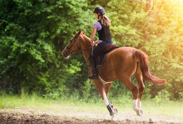 Joven chica bonita montando un caballo con hojas retroiluminadas detrás en s — Foto de Stock