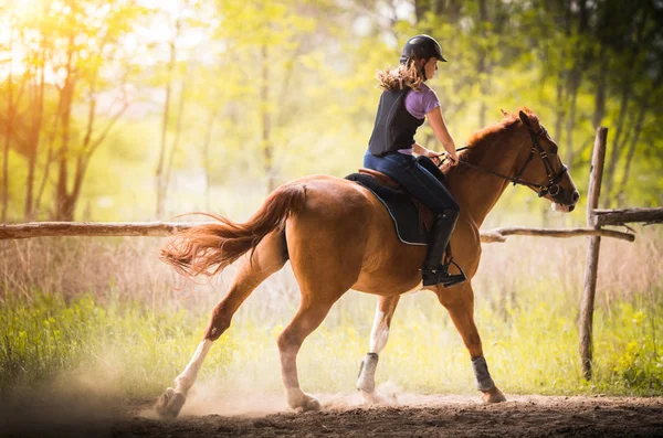 Young pretty girl riding a horse with backlit leaves behind in s — Stock Photo, Image