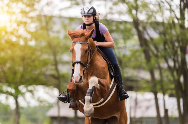 Menina bonita nova montando um cavalo com folhas retroiluminadas para trás em s — Fotografia de Stock