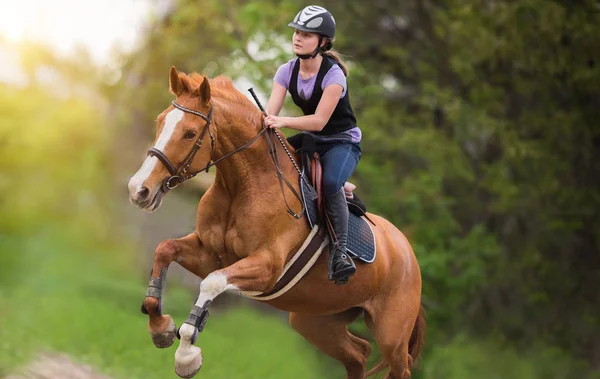 Joven chica bonita montando un caballo con hojas retroiluminadas detrás en s —  Fotos de Stock