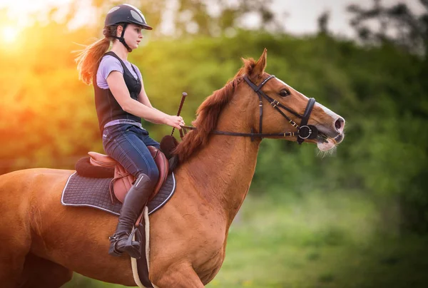 Joven chica bonita montando un caballo con hojas retroiluminadas detrás en s —  Fotos de Stock