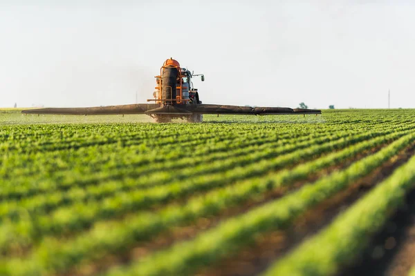 Traktor versprüht Sojabohnenfeld im Frühjahr — Stockfoto