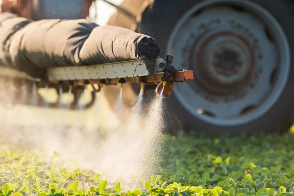 Traktor versprüht Sojabohnenfeld im Frühjahr — Stockfoto