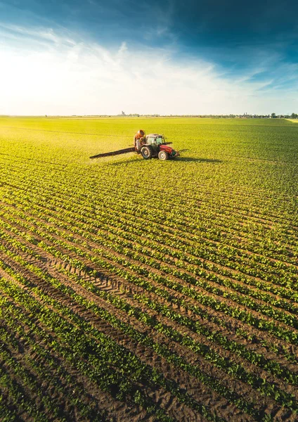 Tractor spraying soybean field at spring — Stock Photo, Image
