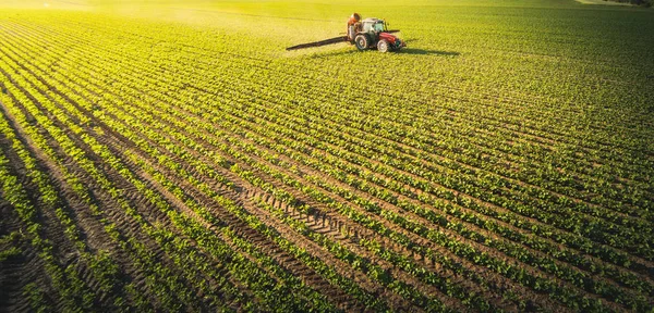 Trattore a spruzzo campo di soia in primavera — Foto Stock