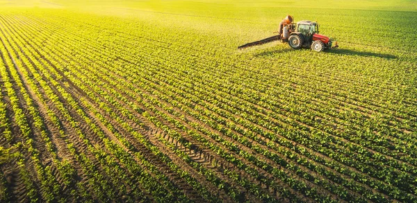 Tractor spraying soybean field at spring