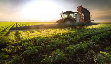 Bahar soya alana püskürtme traktör