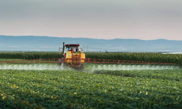 Traktor sprutning vegetabiliska fältet på våren — Stockfoto