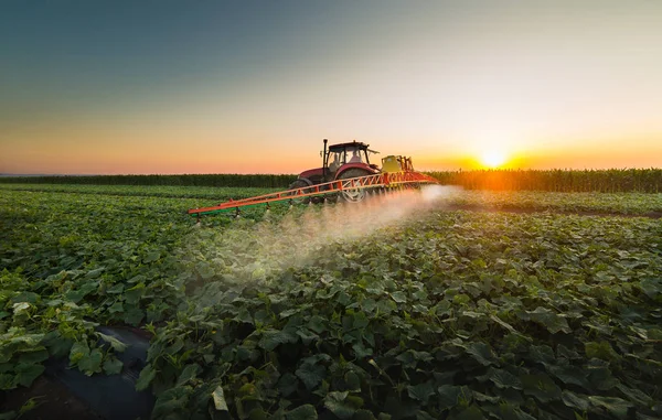 Trator de pulverização de campo vegetal na primavera — Fotografia de Stock