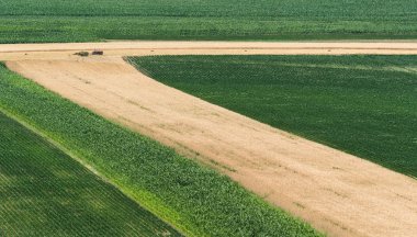 Güneşli yaz günü buğday ve soya fasulyesi alanında