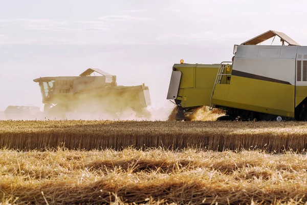 Harvesting of wheat fields in summer — Stock Photo, Image