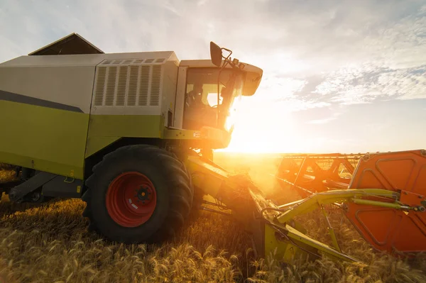 Harvesting of wheat fields in summer — Stock Photo, Image