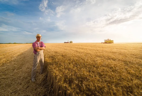 Jungbauer auf Weizenfeldern während der Ernte im Sommer — Stockfoto