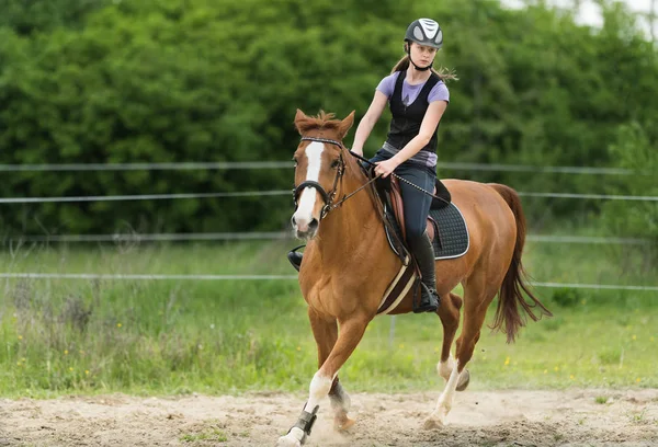 Joven chica bonita montando un caballo con hojas retroiluminadas detrás en s — Foto de Stock