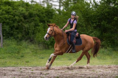 Genç güzel kız arkadan aydınlatmalı ile bir at binme s geride bırakıyor