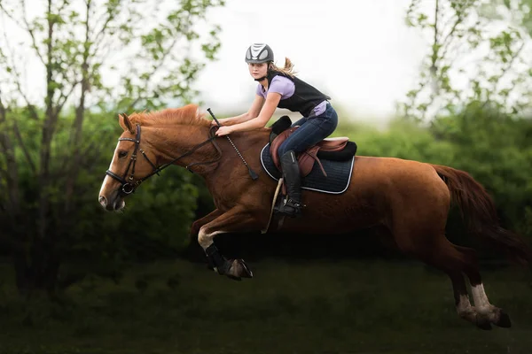 Ένα νεαρό όμορφο κορίτσι ιππεύει ένα άλογο. — Φωτογραφία Αρχείου
